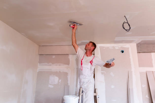 Best Acoustic or Soundproof Drywall Installation  in Millville, NJ